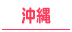 R-30沖縄版