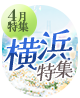 4月特集「春の花々が咲き誇る横浜特集」