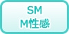 東海のSM/M性感の風俗求人・高収入バイト情報