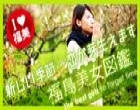 福島美女図鑑