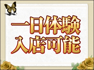 1日体験大歓迎です★(サンシャイン:熊本/ソープランド)