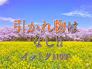 雑費･送迎代&hellip;罰金etc名目の引かれ物は一切御座いません！
