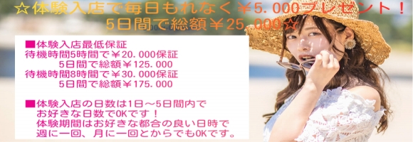 昼下がりの秘め事