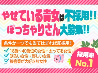 (BIG BANG(ぽっちゃり):中洲/博多/天神周辺/ぽっちゃりデリバリーヘルス)