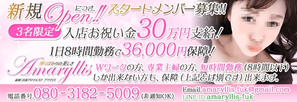 Amaryllis（アマリリス）