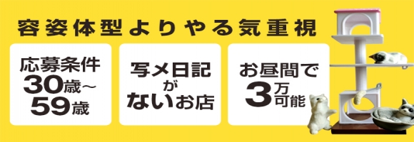 主婦のパート