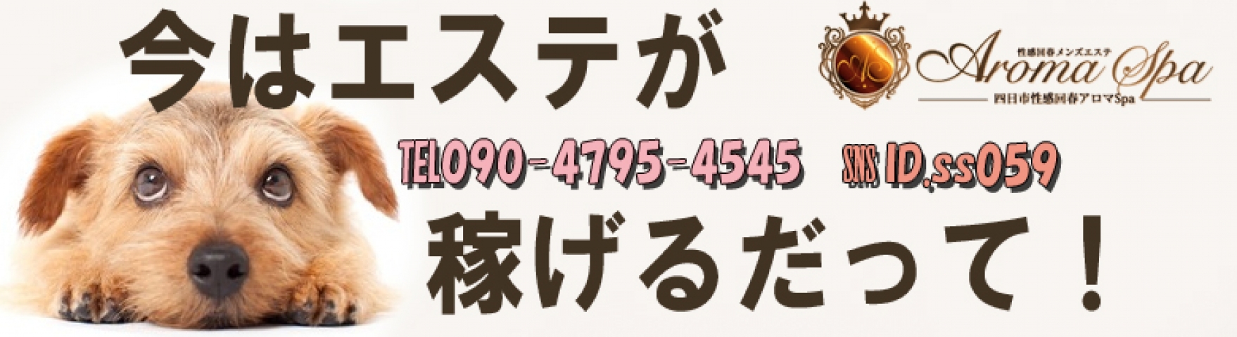 女性を「商品」だとは考えません。女性の方々が『アロマSPA』の大切なお客様方に提供する時間こそが「商品」であり、女性一人一人を大切な「人材」だと考えております。(四日市性感回春アロマSpa:三重/エステ・アロマ(出張))