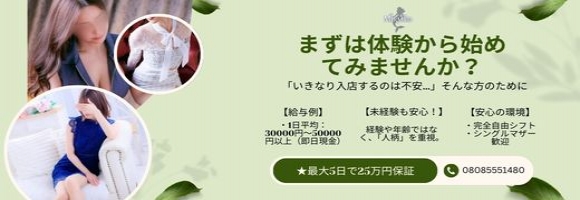 ミセス・マーメイド