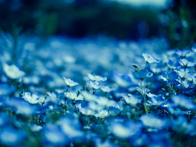 【時短で効率的に稼げる】当店は店舗型のヘルス店なので、お客様がいる自宅やホテルに出張するデリバリースタイルのお店と違い、お客様がお店に来店する店舗型なので移動時間がありません。(YESグループGlamourGlamour R30:中洲/博多/天神周辺/店舗型ヘルスコンパニオン)
