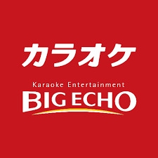 待機でビッグエコーも利用可(ELYSIUM〜エリシオン:尼崎/デリヘルプラットフォーム)