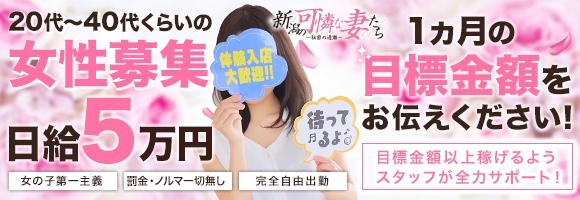 新潟の可憐な妻たち～秘密の逢瀬～