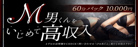 大和ナデシコ～人妻M性感～