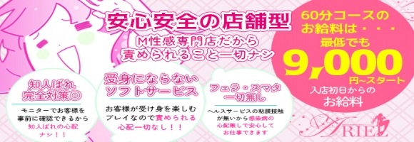 ARIEL（アリエル）