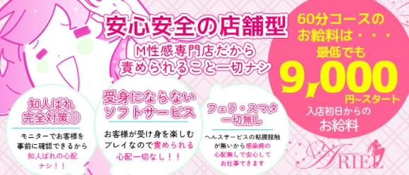 ARIEL（アリエル）