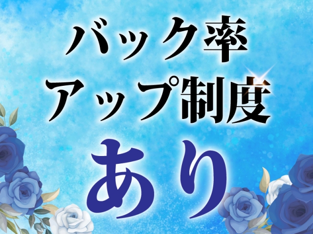 バック率アップ制度あり(アプローチ 北与野店:さいたま市/大宮/メンズエステ)
