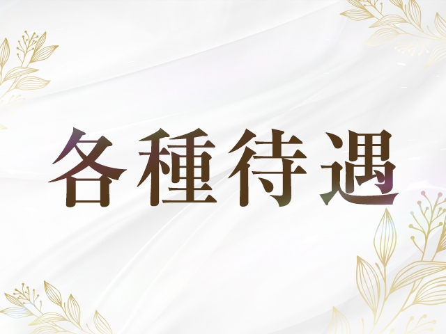 各種待遇(宮崎美熟女:宮崎/人妻デリヘル)