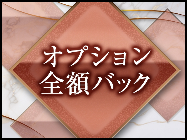 (ひまわり:姫路/加古川/明石/スタンダードデリヘル)