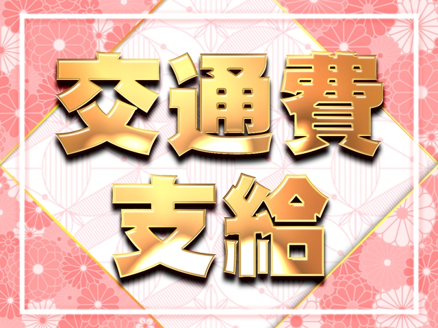 (銀々マニア倶楽部:鹿児島市/スタンダードデリヘル)