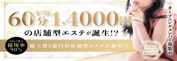 THE ESUTE HOUSE 池下