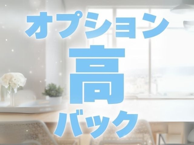 (Revolution:松本/塩尻/デリバリーヘルス)