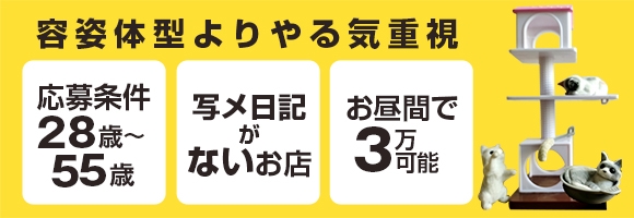 セレブな奥様