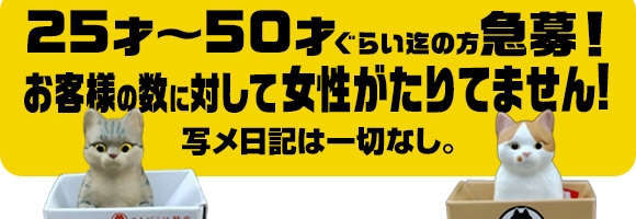 セレブな奥様