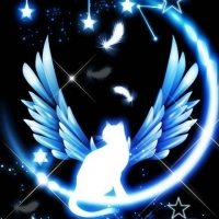 代表取締役社長CEO